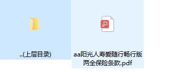 阳光人寿爱随行畅行版两全保险条款.zip