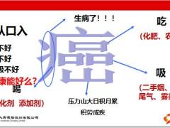 国寿福理念亮点健康风险应对策略38页.pptx