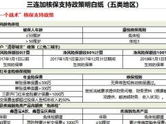 国寿2020年开门红核保支持政策明白纸5页.xlsx
