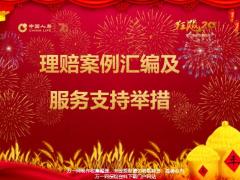 国寿开门红理赔案例汇编及服务支持举措18页.pptx
