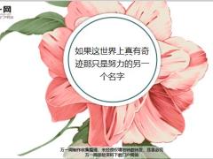 每日鸡汤如果这世界上真有奇迹那只是努力的另一个名字.zip