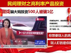 国寿鑫福临门福悦组合重离子组合介绍34页.pptx