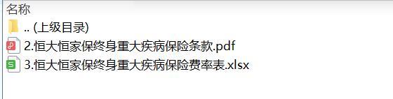 恒大恒家保终身重大疾病保险条款费率.zip