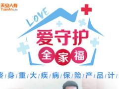 天安人寿爱守护全家福彩页三折页展架吊旗海报.zip