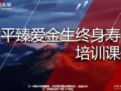 太平臻爱金生终身寿险产品运营案例篇21页.pptx