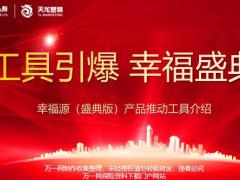 天安人寿幸福源盛典版产品推动工具介绍41页.pptx