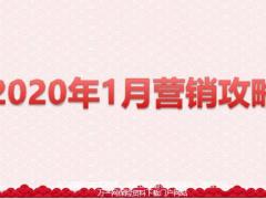2020年1月营销工作主题目标节奏举措20页.pptx