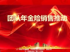 团队年金险销售推动37页.pptx
