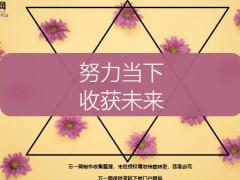 每日鸡汤努力当下收获未来.zip