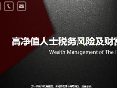 高净值人士税务风险及财富保全13页.pptx