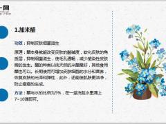 每日健康早晨洗脸水中加点料六十岁不长斑不长皱纹不显老9页.ppt
