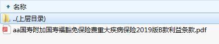 国寿附加国寿福豁免保险费重大疾病保险2019版B款利益条款.zip