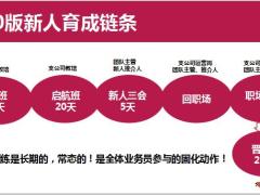 新人育成2.0版逻辑全貌设计原理执行要点37页.pptx