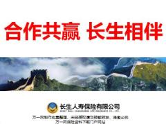 长生人寿公司简介产品体系价值服务16页.pptx