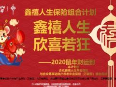合众人寿鑫禧人生保险组合计划含备注18页.pptx
