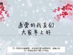 白底红色植物冬天早会流程模板10页.ppt
