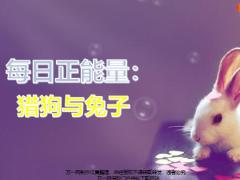 每日正能量猎狗与兔子5页.ppt