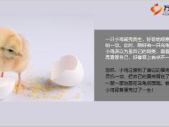 每日正能量破壳的小鸡4页.ppt