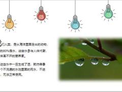 每日健康起床后的这些细节是湿气警报14页.ppt