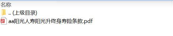 阳光人寿阳光升终身寿险条款.zip