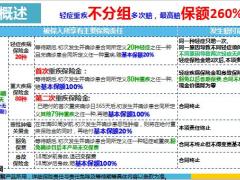 中英人寿爱守护重疾保险尊享版责任概述投保案例15页.pptx