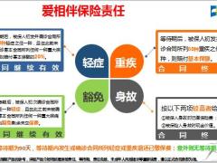 中英人寿爱相伴保险责任定位特色投保规则10页.pptx