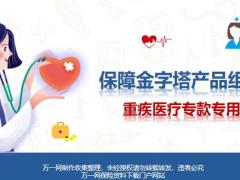 前海人寿保障金字塔产品组合重疾医疗专款专用26页.pptx