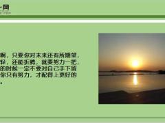 每日鸡汤努力付出岁月不会辜负你.zip