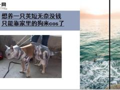 每日快乐早会19年12月20日使用12页.ppt