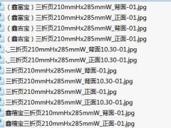 国寿乐安相伴住院费用补偿医疗鑫吉宝鑫富宝鑫禧宝3折页10页.zip