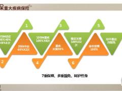 百年康盛保终身重大疾病保险产品形态投保规则8页.pptx
