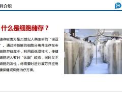 太平洋2020开门红尖端客户服务项目介绍27页.pptx