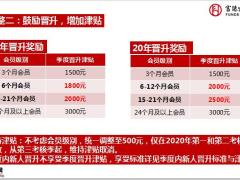 富德生命2020荣誉体系方案宣导33页.pptx