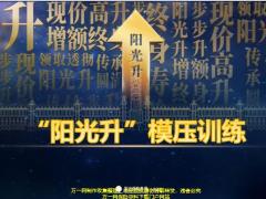 阳光人寿阳光升FABE解读模压训练30页.pptx