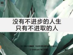 每日鸡汤没有不进步的人生只有不进取的人.zip
