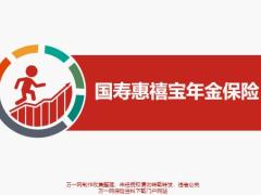 国寿惠禧宝年金保险投保范围期间交费方式责任责任免除11页.pptx