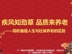 合众人寿简析鑫禧人生与社保养老的区别27页.pptx