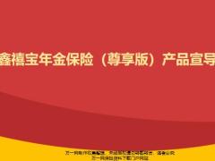 国寿鑫禧宝年金保险尊享版产品宣导课件12页.pptx