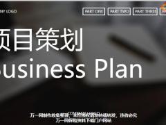 项目策划总结报告扁平风格PPT模板13页.pptx
