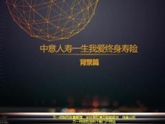 中意人寿一生我爱终身寿险背景篇25页.pptx