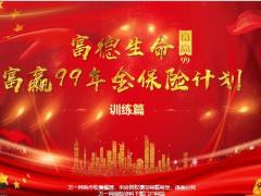 富德生命富赢99年金险保单设计三权分立训练篇14页.pptx