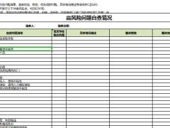 合规高风险问题自查情况表.xlsx