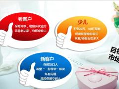 幸福人寿健康人生销售逻辑幸福宝贝至尊销售逻辑话术21页.pptx