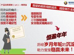 恒安标准恒盈年年年金保险产品功用介绍案例35页.pptx