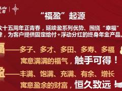 合众福盈一生年金保险分红型尊享钻账户养老年金保险万能型35页.pptx