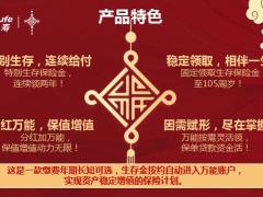合众福盈一生终身保险计划附加珍爱定期寿险庆典版13页.pptx