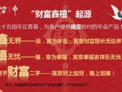 合众财富鑫禧保险计划庆典版产品特色责任10页.pptx