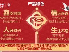 合众鑫禧人生保险产品特色投保权益12页.pptx