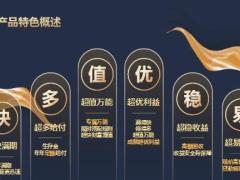 太平财富智赢年金保险特色产品示例篇29页.pptx