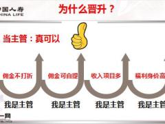 国寿基本法晋无止境之升官发财30页.pptx